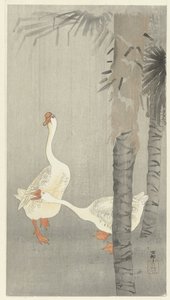 Oche domestiche sotto la pioggia da Ohara Koson