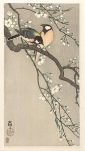 Cince su ramo di ciliegio da Ohara Koson