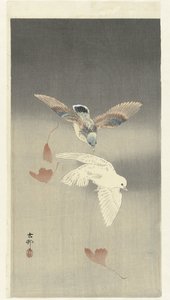 Due colombe con foglie di ginkgo cadenti