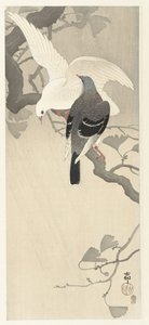 Due colombe su un ramo da Ohara Koson