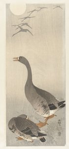 Due oche da Ohara Koson