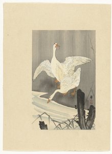 Due oche vicino a un fiume da Ohara Koson