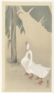 Due oche vicino a un banano da Ohara Koson