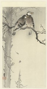 Due storni grigi da Ohara Koson