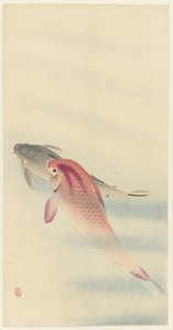 Due carpe da Ohara Koson