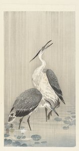 Due aironi nella pioggia da Ohara Koson