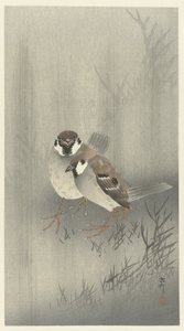 Due passeri nella pioggia da Ohara Koson