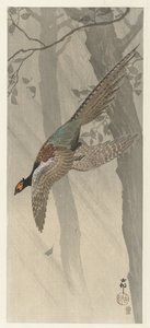 Fagiano volante da Ohara Koson