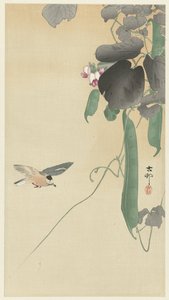 Uccello vicino a una pianta di fagioli in fiore da Ohara Koson
