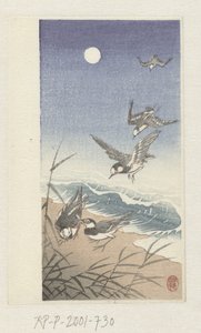 Uccelli alla luna piena da Ohara Koson