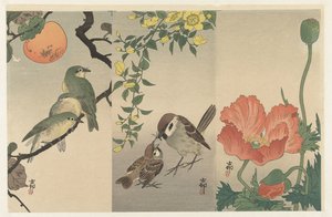 Uccelli e piante da Ohara Koson