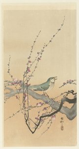 Uccello canoro e fiori di prugna da Ohara Koson