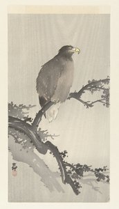 Aquila di mare su un ramo da Ohara Koson