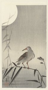 Cavaliere nero su ramo di bambù da Ohara Koson