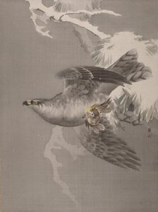 Falco che tiene un piccolo uccello da Okada Baison