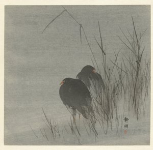Due folaghe tra le canne da Okuhara Seiko