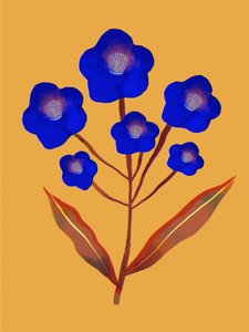 Fiori blu vivaci da Olga Skomorokhova