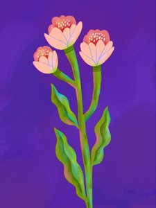 Trio floreale dai colori vivaci da Olga Skomorokhova
