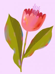 Fioritura rosa vivace da Olga Skomorokhova