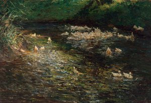 Stagno delle anatre da Olga Wisinger Florian