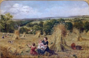 Il campo di raccolta