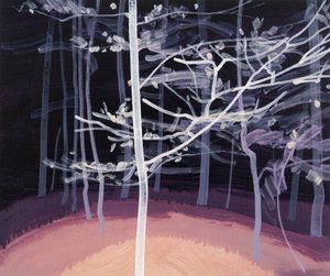 Foresta Nera 7 da Olivier Morel