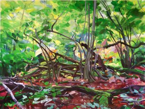 Foresta 12 da Olivier Morel