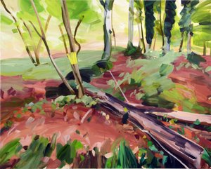 Foresta 25 da Olivier Morel