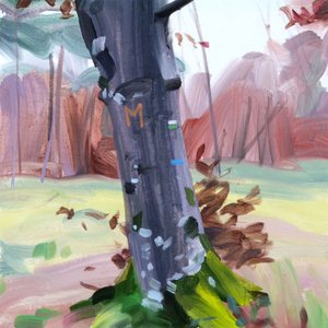 Foresta 38 da Olivier Morel