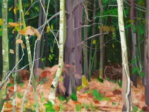 Foresta 7 da Olivier Morel