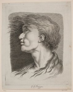 Ritratto di uomo con capelli svolazzanti