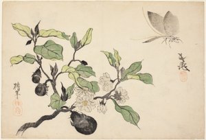 Melanzane con frutta e fiori da Onishi Chinnen