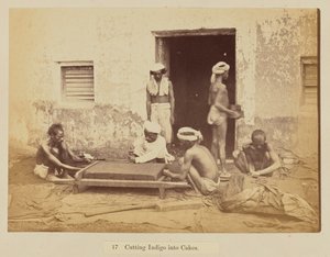 Taglio dell