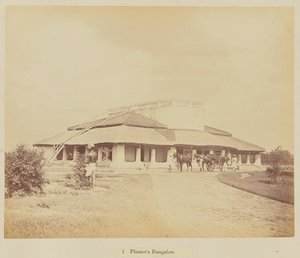 Bungalow del Piantatore
