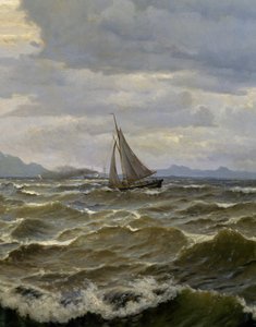 Navi in mare