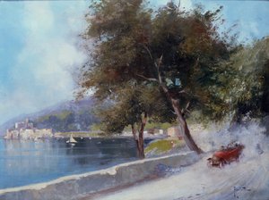 Corsa sul lago da Oscar Ricciardi