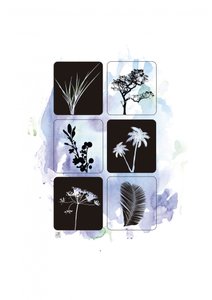 Sagome botaniche ad acquerello da Osvaldo Russo