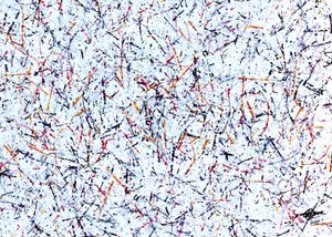Linee sparse e vivaci da Osvaldo Russo
