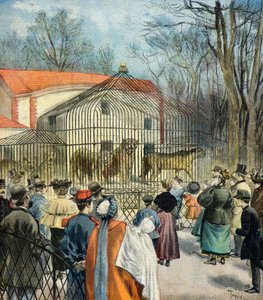 La nuova rotonda fauve del Jardin des Plantes da Oswaldo Tofani