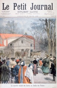 La nuova casa dei gatti selvatici al Jardin des Plantes, Parigi, 1895 da Oswaldo Tofani