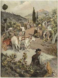 La stagione della vendemmia in Italia