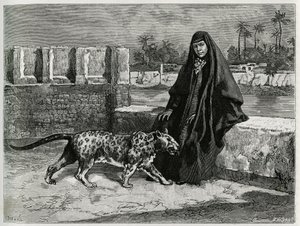 Torkan Khanoum, favorita dello sceicco Moses, potente capo tribale di Arabistan con la sua pantera. Incisione di Tofani, per illustrare il racconto “Persia, Caldea e Susiana” da Oswaldo Tofani