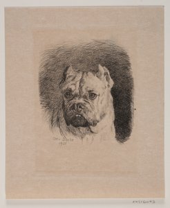 Testa di cane da Otto Bache