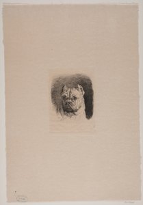 Testa di cane da Otto Bache