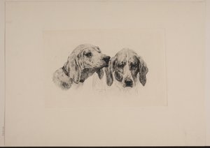 Due teste di cane