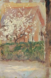 Albero in fiore bianco nel giardino anteriore da Otto Friedrich