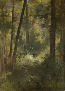 Interno del bosco da Otto Gebler