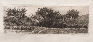 Tetti e Alberi da Otto H. Bacher