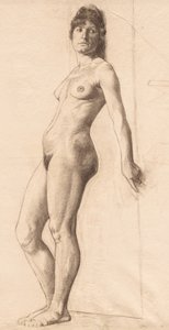 Modello nudo in piedi