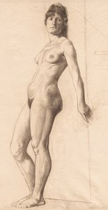 Modello nudo in piedi
